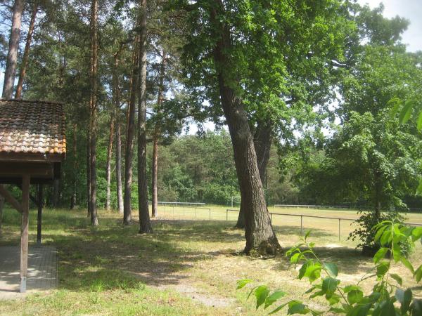 Sportplatz Born - Westheide-Born