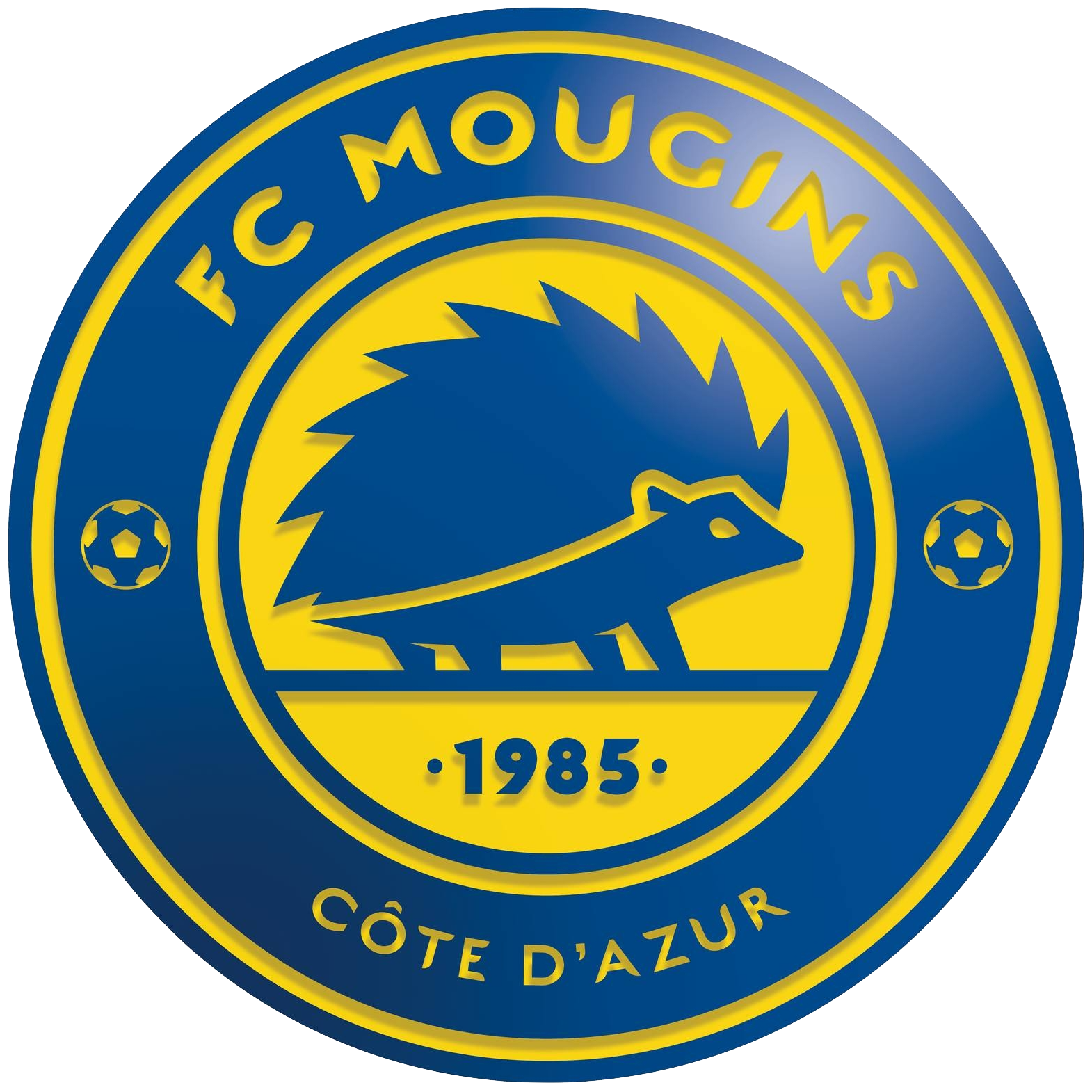 Wappen FC Mougins Côte d'Azur diverse