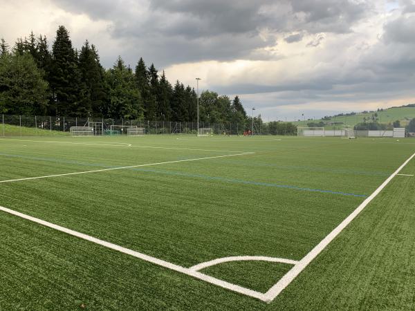 Sportplatz Löösch Platz 2 - Adligenswil