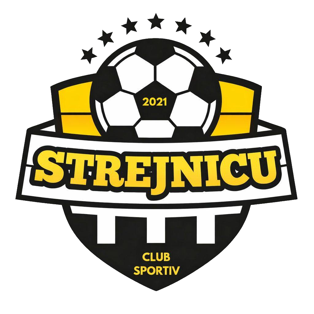 Wappen CS Strejnicu diverse