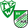 Wappen SG Wellie/Aue Liebenau II (Ground B)