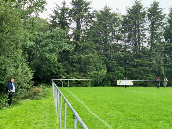 Cae Criced - Brynamman, Carmarthenshire