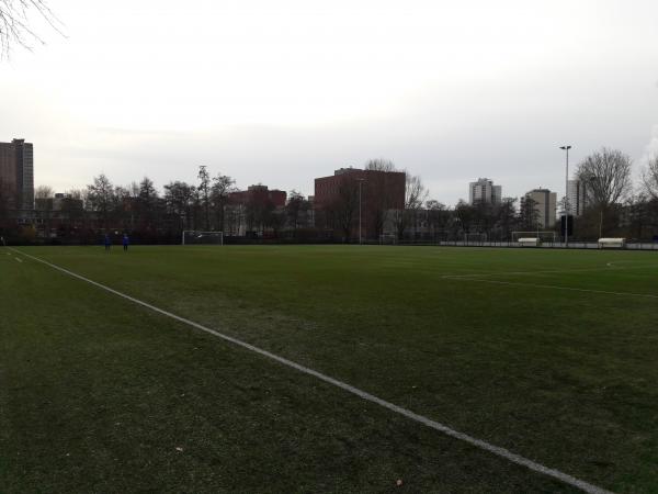 Sportpark Toepad veld 4 RSV Antibarbari - Rotterdam