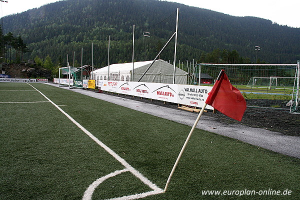 Blåbærmyra kunstgress  - Fagernes/Nord Aurdal 
