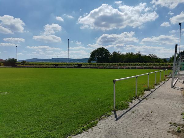 Weisse Hai Arena  - Kirchheim/Weinstraße