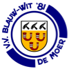 Wappen VV Blauw Wit '81 diverse  115755