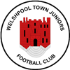 Wappen Welshpool Town FC