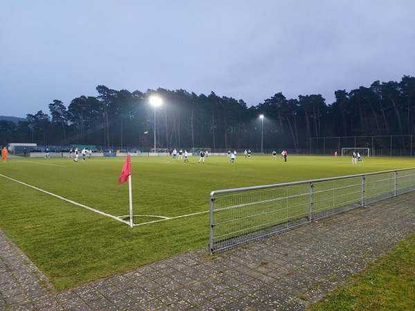 Waldstadion Nebenplatz - Erlenbach/Main