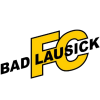 Wappen FC 1990 Bad Lausick diverse