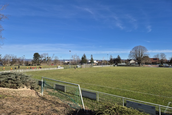 Stade de l'Eisweiher - Hégenheim