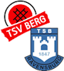 Wappen SGM Berg/Ravensburg - Frauen (Ground B)
