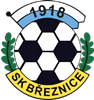 Wappen SK Březnice 1918