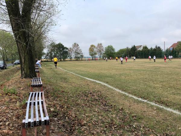 Boisko w Goliszowie - Goliszów