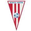 Wappen TJ Sokol Nečín