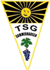 Wappen TSG Sommerhausen 1946