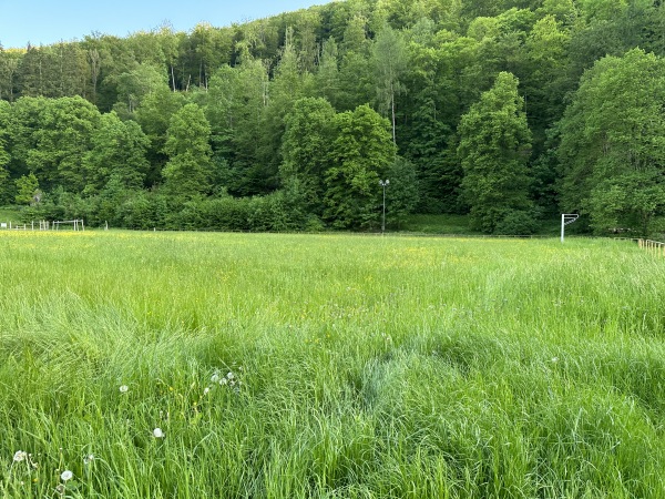 TSV-Sportplatz - Bad Urach