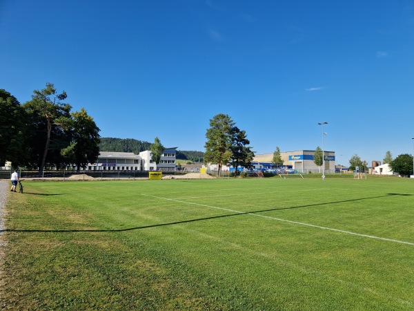 Sportanlage Im See Platz 2 - Elgg