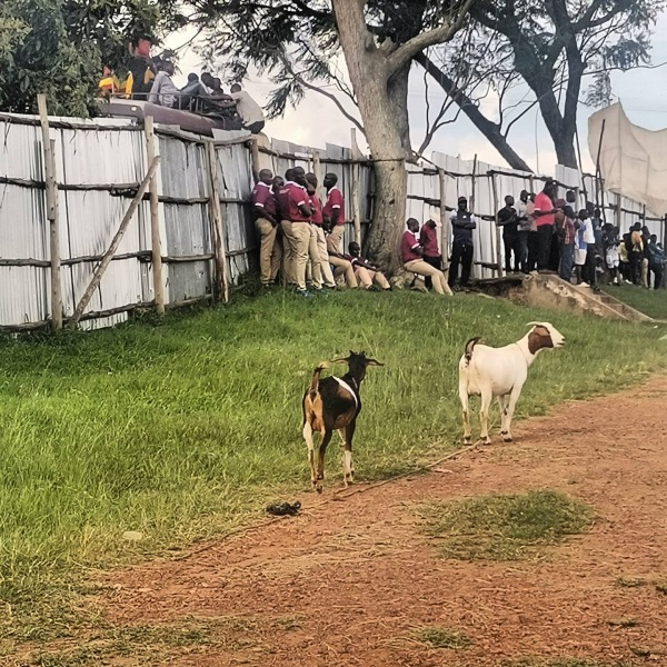 Luzira Maximum Prisons Stadium - Kampala