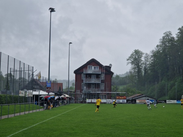 Sportplatz Oberstufenzentrum - Necker