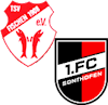 Wappen SG Fischen II / Sonthofen III (Ground B)