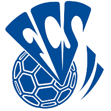 Wappen FC Sarrebourg diverse  107519