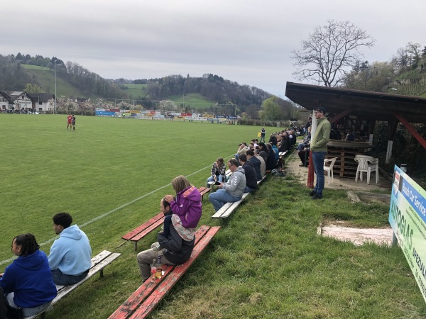Eichbergstadion - Glottertal 