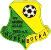 Wappen Hohenbockaer SV Grün-Gelb 1923