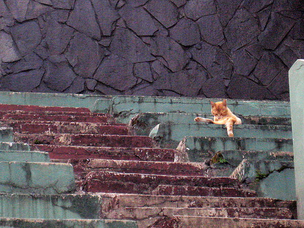 Stadion Siliwangi - Bandung