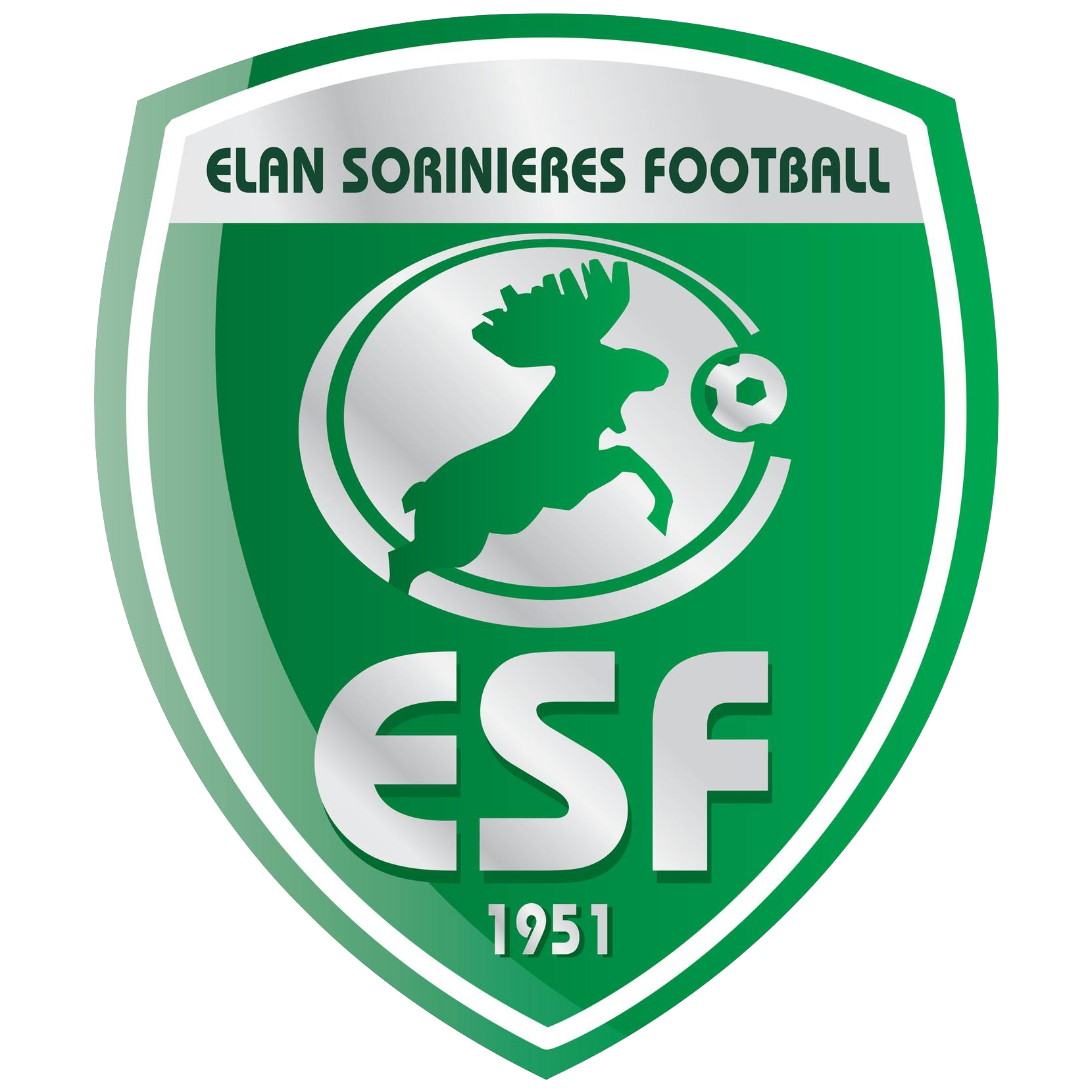 Wappen Elan Sorinières Football diverse