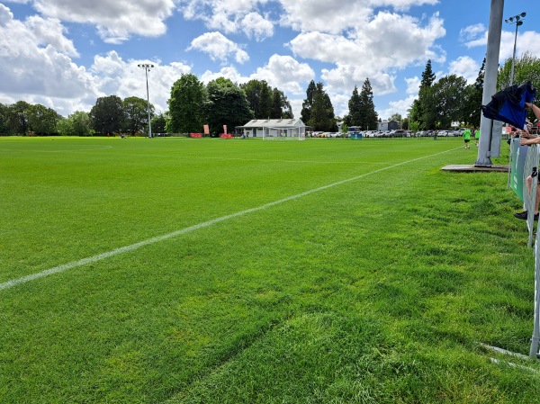 Gower Park field 6 - Hamilton