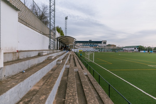 Polideportivo Municipal Cuatro Vientos - Prado Del Rey, AN