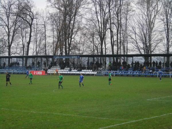 Stadion im. Józefa Waliczka - Miedźna