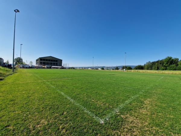 Sportplatz Allmend Platz B - Horgen