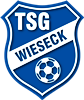 Wappen TSG Wieseck 1862  123238