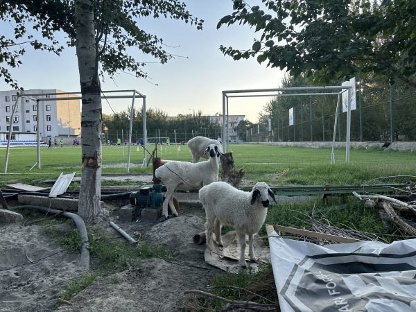 Umid Stadioni - Buxoro (Bukhara)