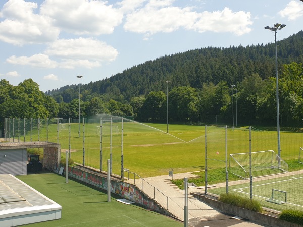 Fußballschule am Möslestadion Platz 2 - Freiburg/Breisgau