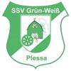Wappen SSV Grün-Weiß Plessa 1976 diverse