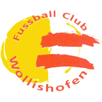 Wappen FC Wollishofen diverse  54154