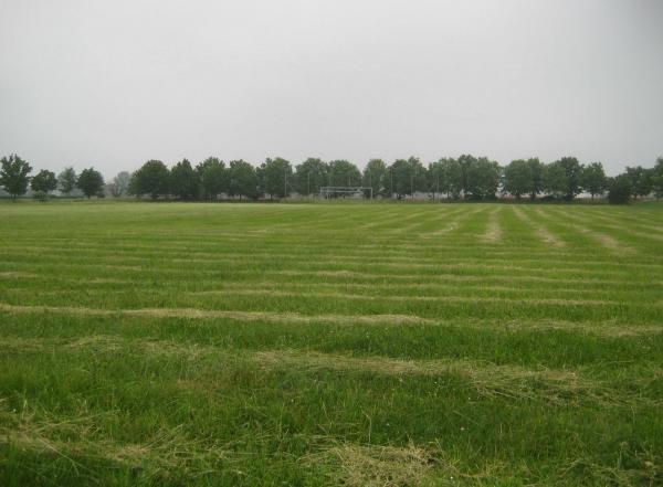 Sportplatz Domersleben - Wanzleben-Börde-Domersleben