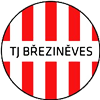 Wappen TJ Březiněves diverse