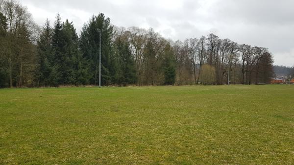 Sportplatz am Elisabethpark - Bad Liebenstein