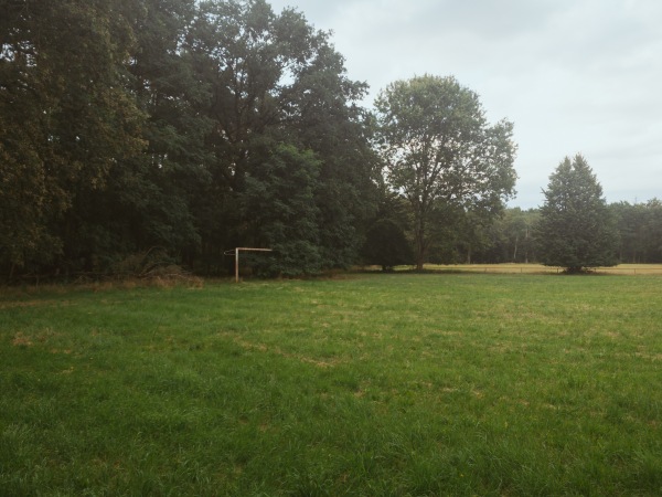 Waldsportplatz - Gülitz-Reetz