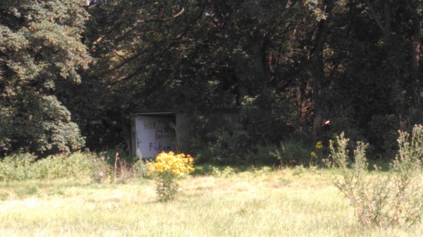 Sportplatz an der Landstraße - Kerpen-Horrem