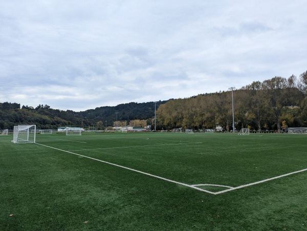 Logan Park Field A1 - Dunedin