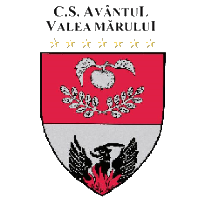 Wappen  CS Avântul Valea Mărului  62057
