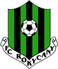 Wappen FC Rokycany diverse