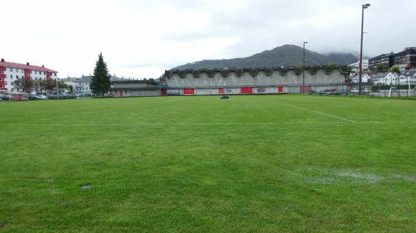Nymark gress 02 - Bergen