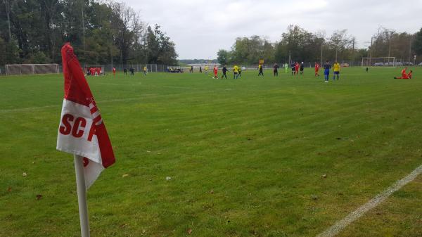 Sportplatz Polenz - Brandis-Polenz