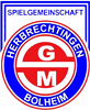 Wappen SG Herbrechtingen/Bolheim Reserve (Ground B)