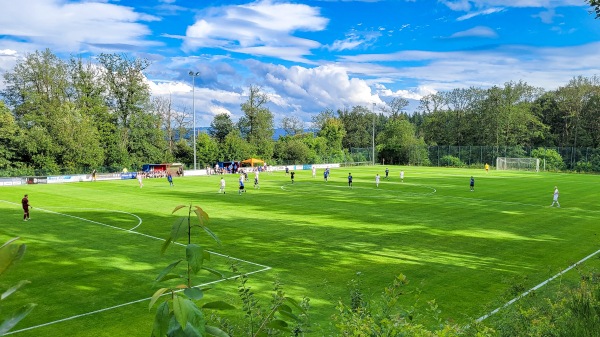 Grünewaldstadion - Wittlich-Lüxem
